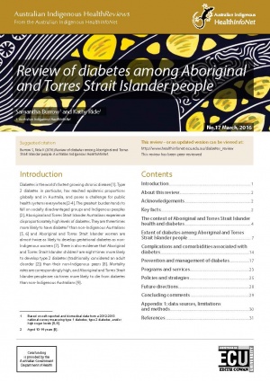 healthinfonet diabetes review